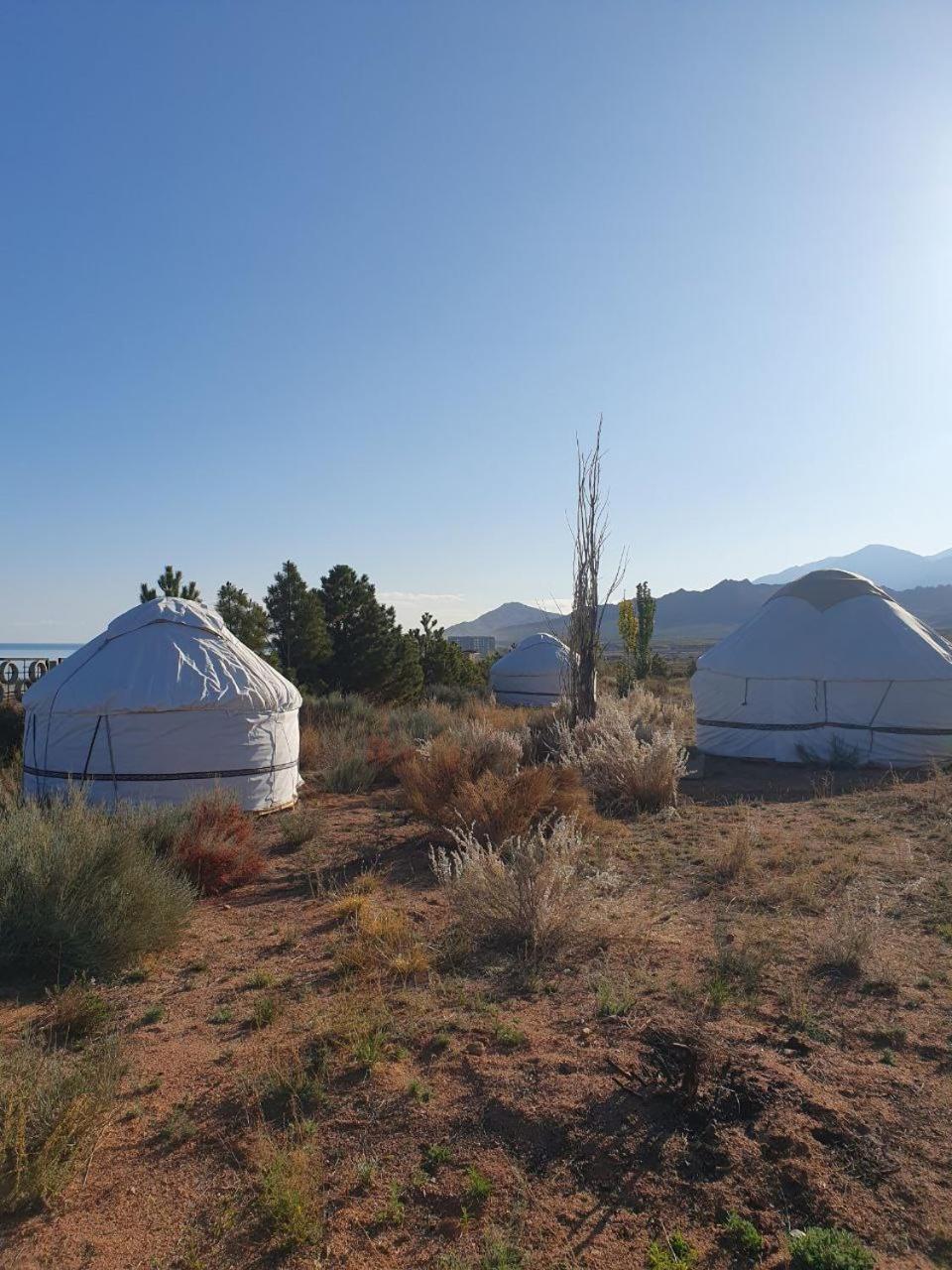 Bed and Breakfast Agat Yurt Camp Kaji-Say Exteriér fotografie