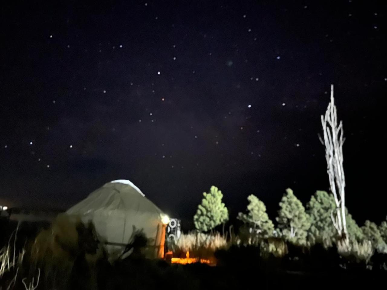 Bed and Breakfast Agat Yurt Camp Kaji-Say Exteriér fotografie